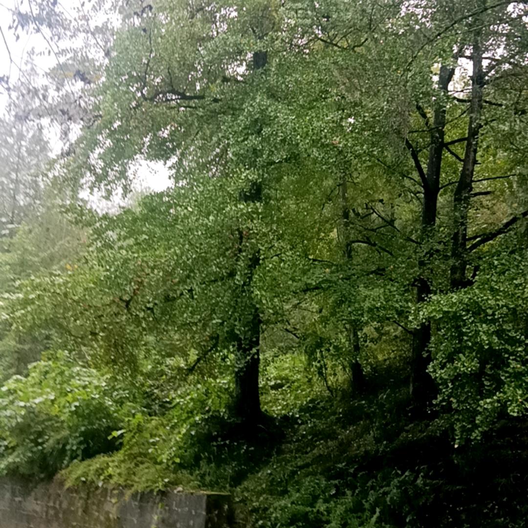 从心起，一身轻