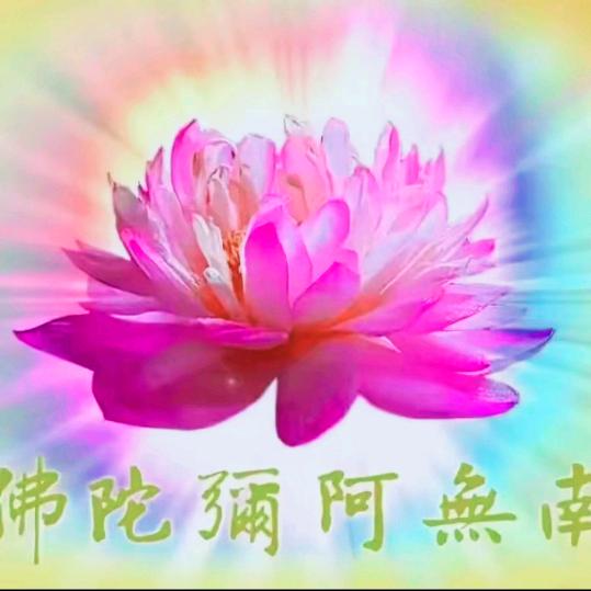 心有灵犀一点通（打开悟性）