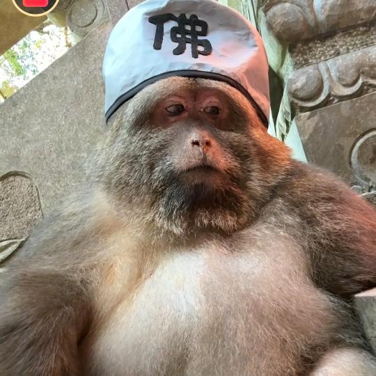 再苦再累。都不怕。