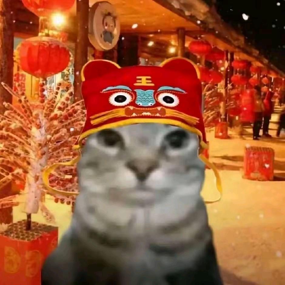 生化猫meme