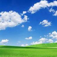 富贵(鸿运当头)