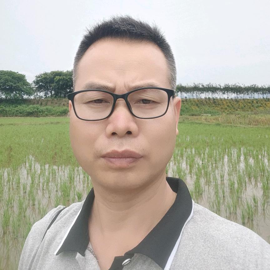 农村哥