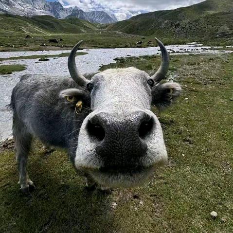 地里热吧