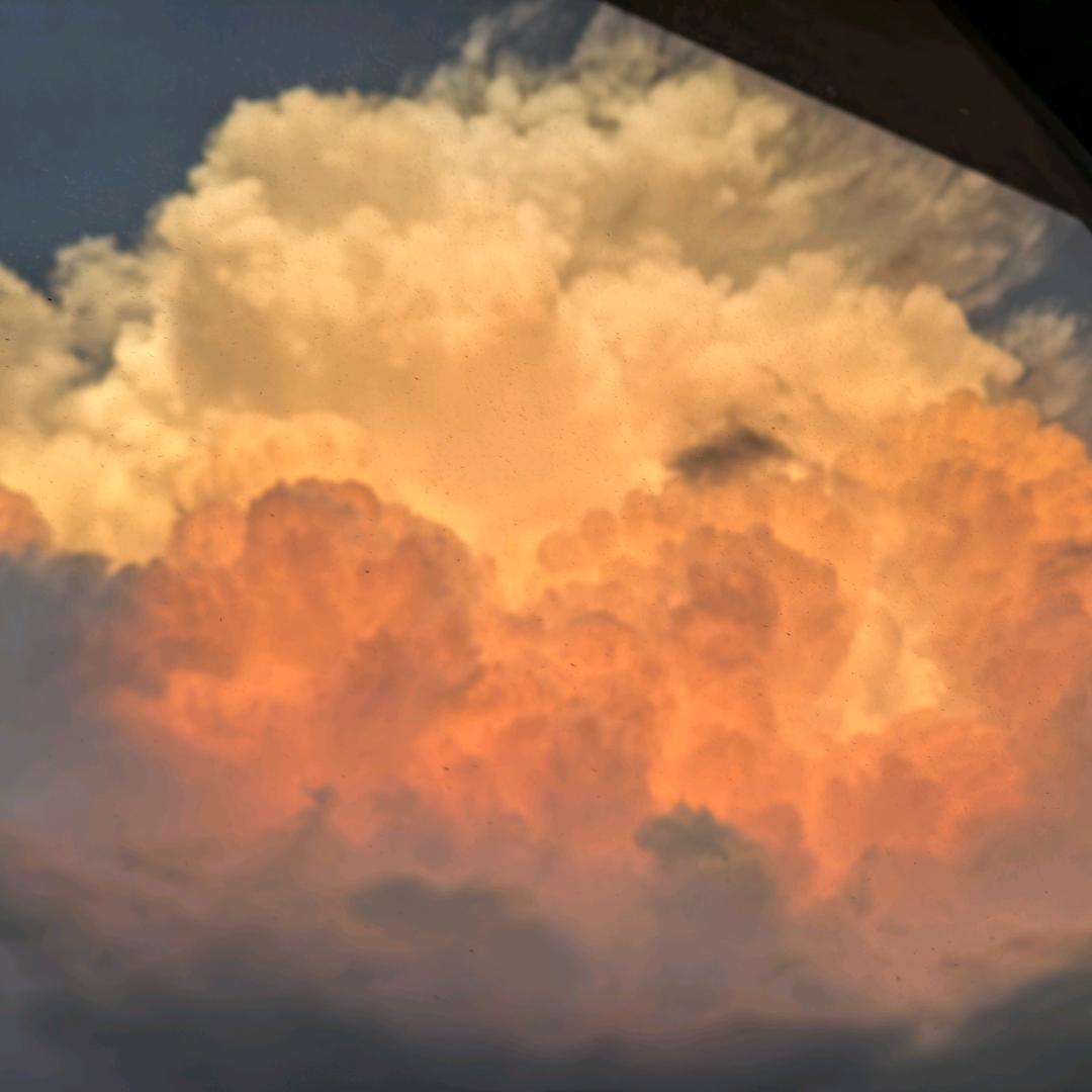 小小卷毛20181218