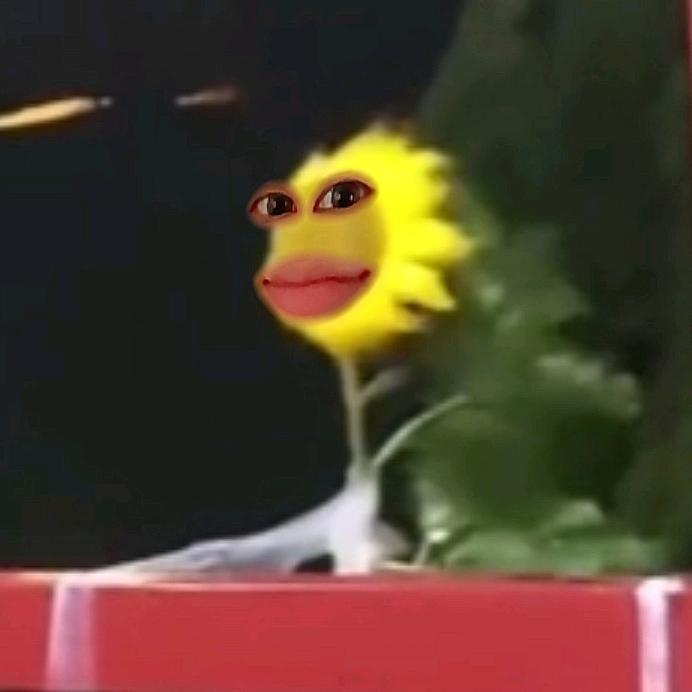 X.头像