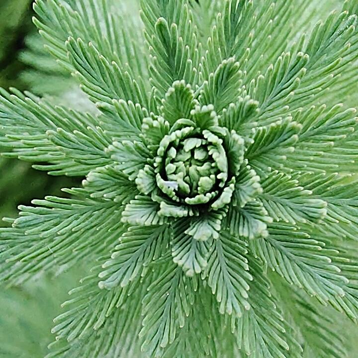 网名没有必要取得太长了像我这样子就刚刚好