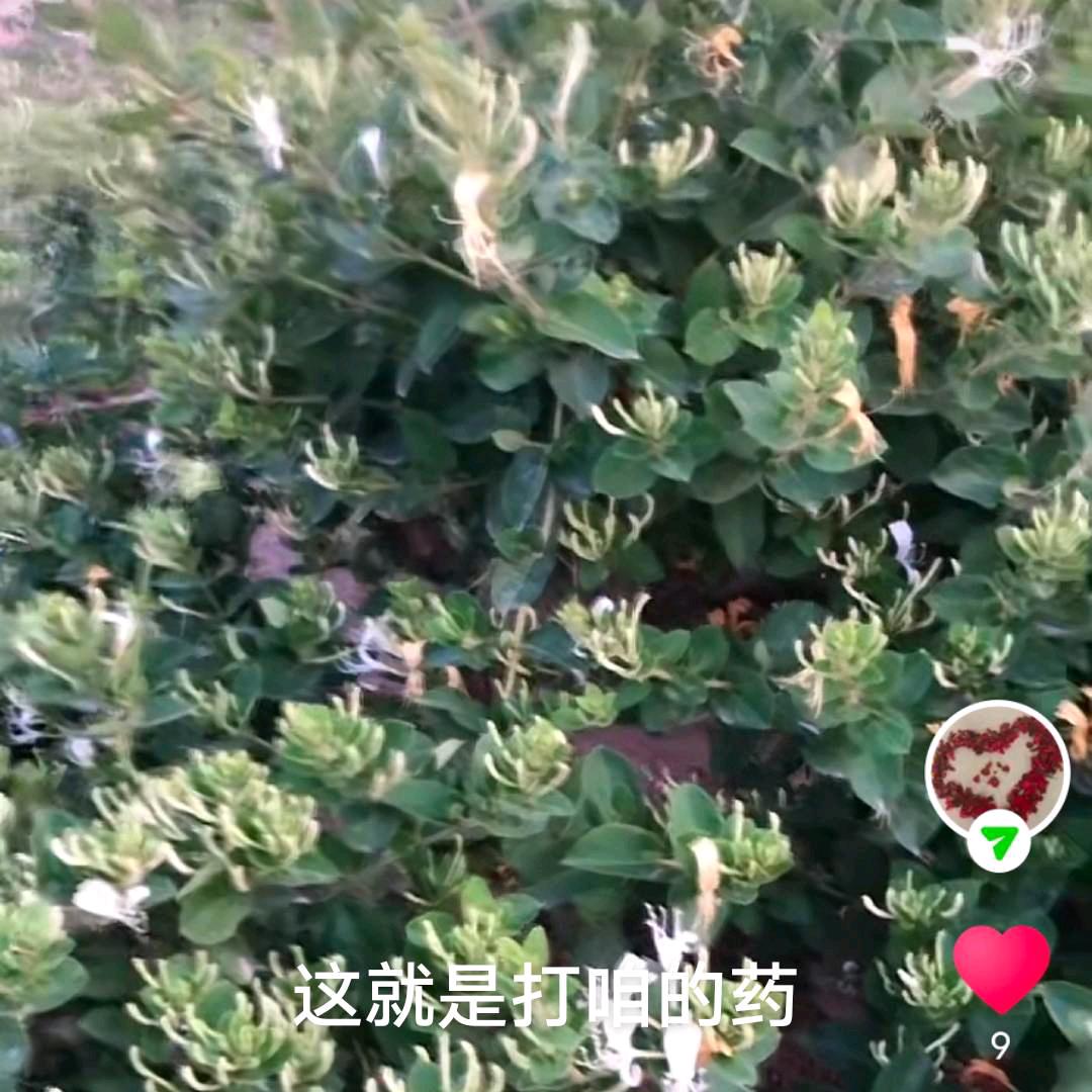 邢台建群农资销售有限公司