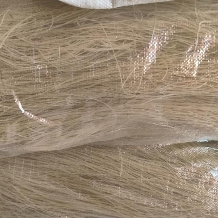 粉条芳香姐