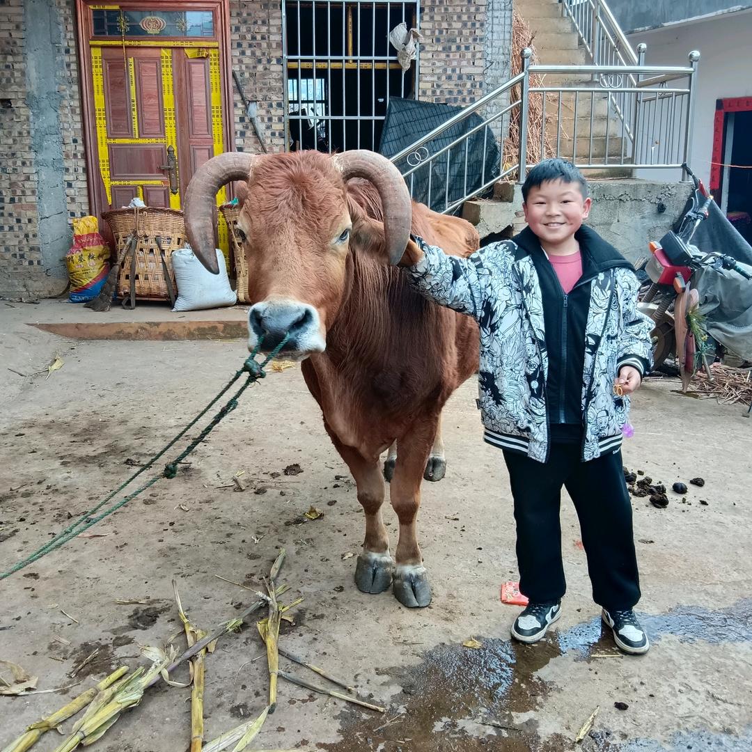 丑女唱歌小号🍎🍎