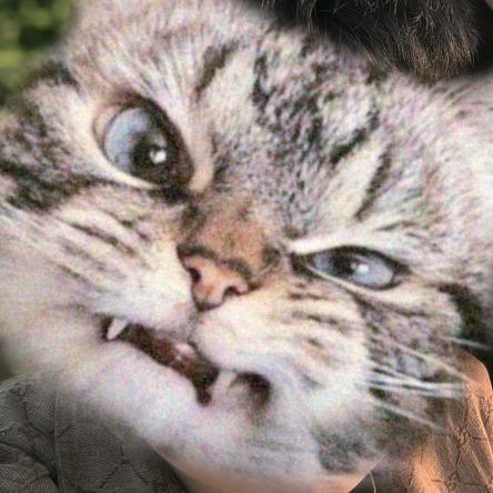 猜忌