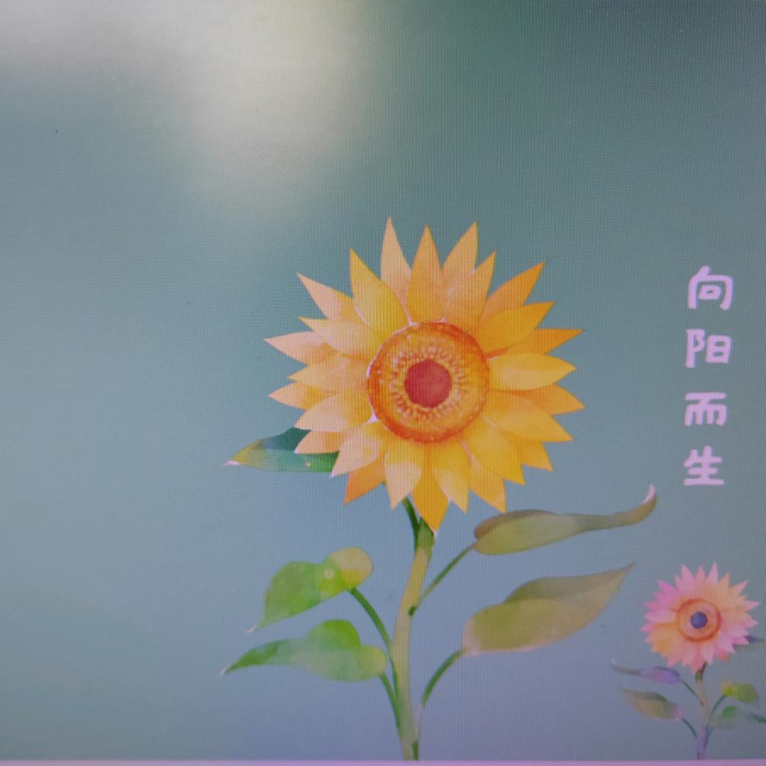仙人掌🌵
