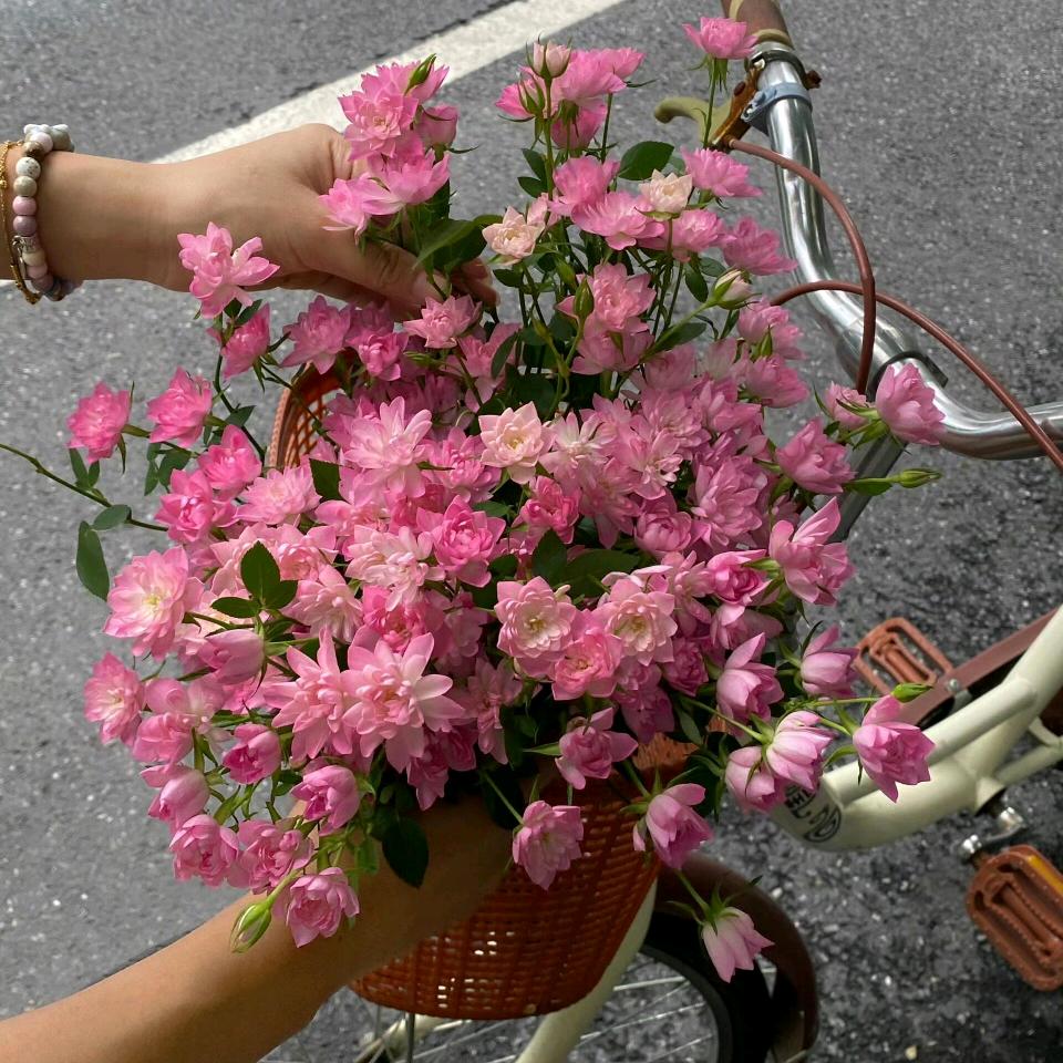 💔꯭仐ꪖꪶ🥀沵ꦿᮨ࿐