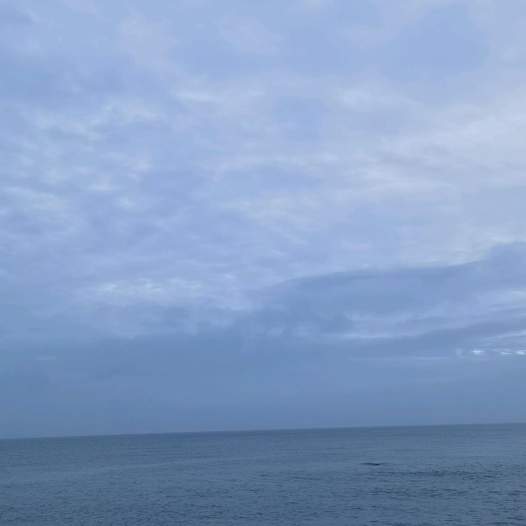 半盏流年，暮。