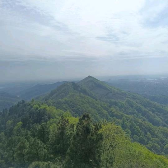 喜欢你