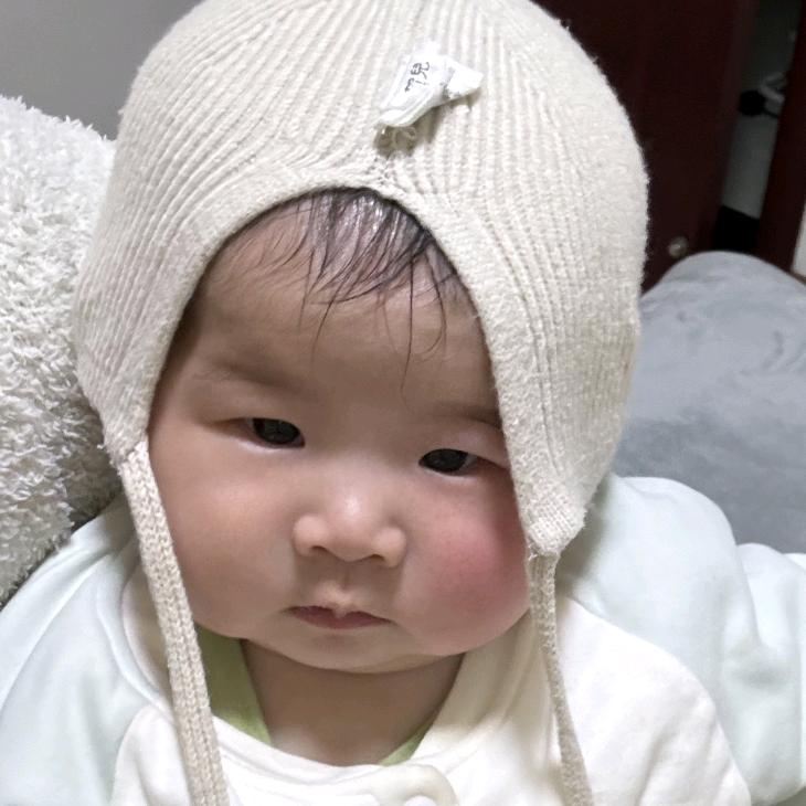 小树懒🦥