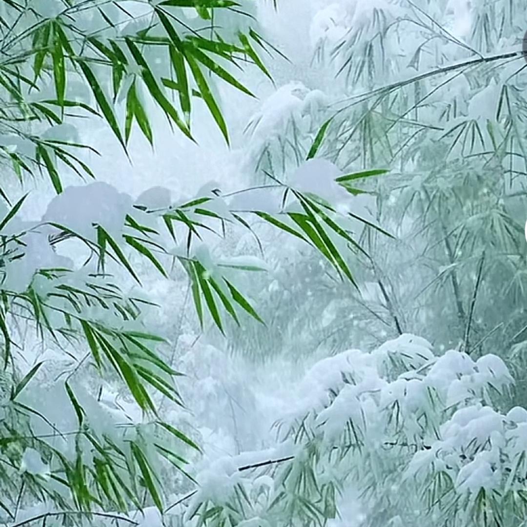 🎶💞上善若水💞🎶