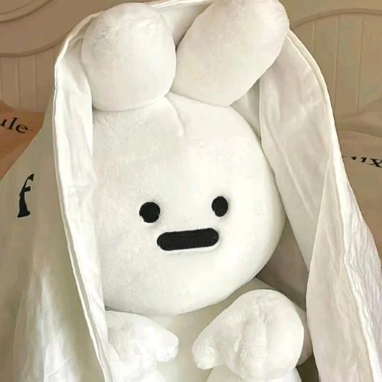 裴佪光