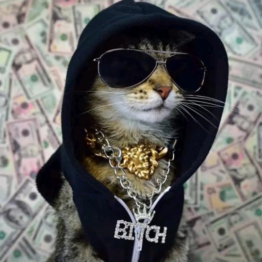 振欣汽修_小韩师傅