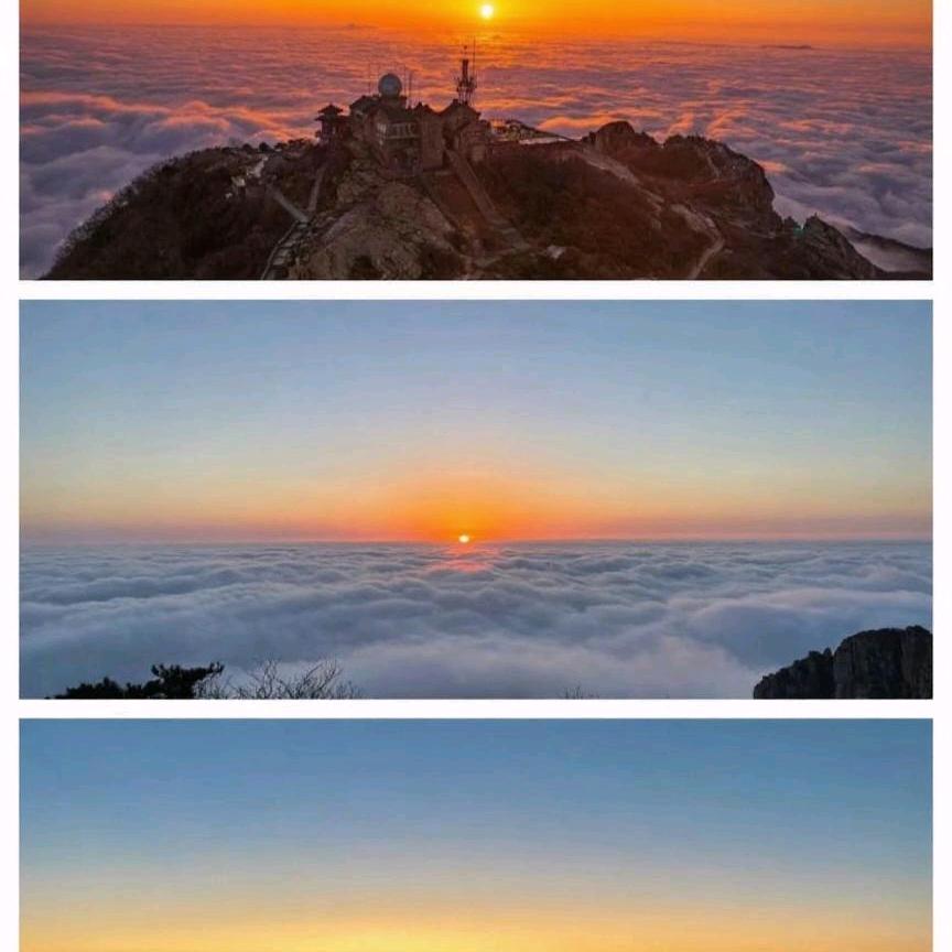 麦香人家  蛋糕