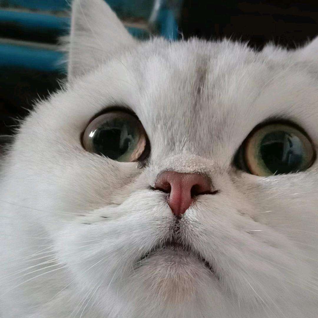 爱吃麻辣烫