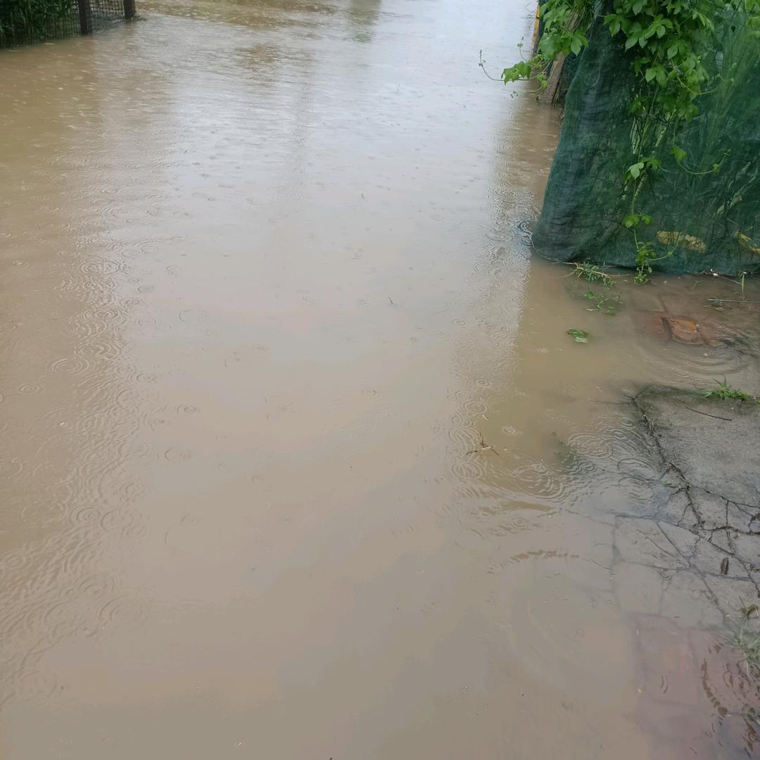我爱阳光