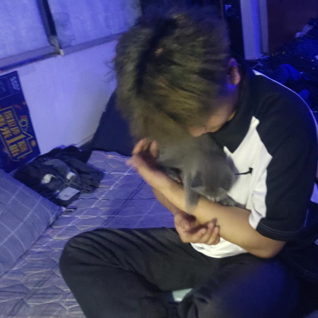 鹤鹤子