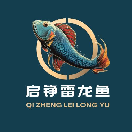 启铮雷龙鱼