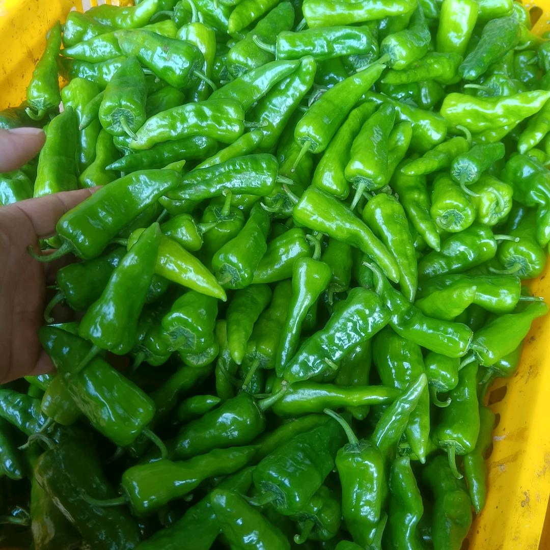 旺源生鲜水果店