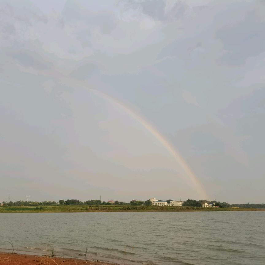 海上雄鹰
