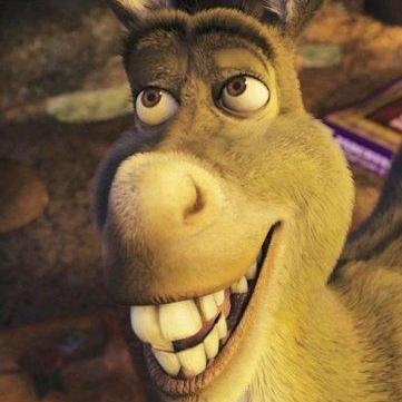 阳光彩虹大黑驴