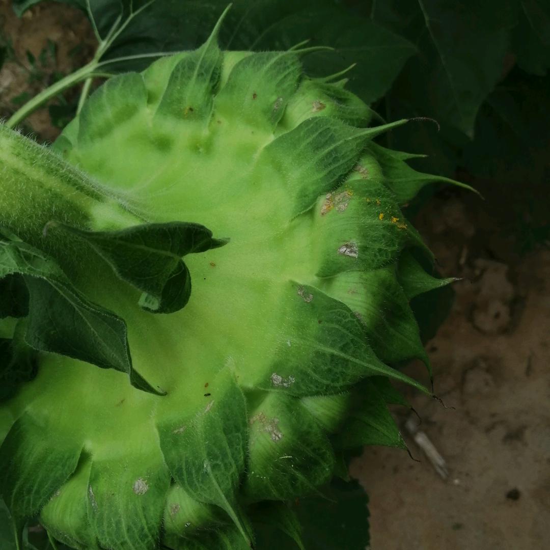 忍一时风平浪静退一步海阔天空
