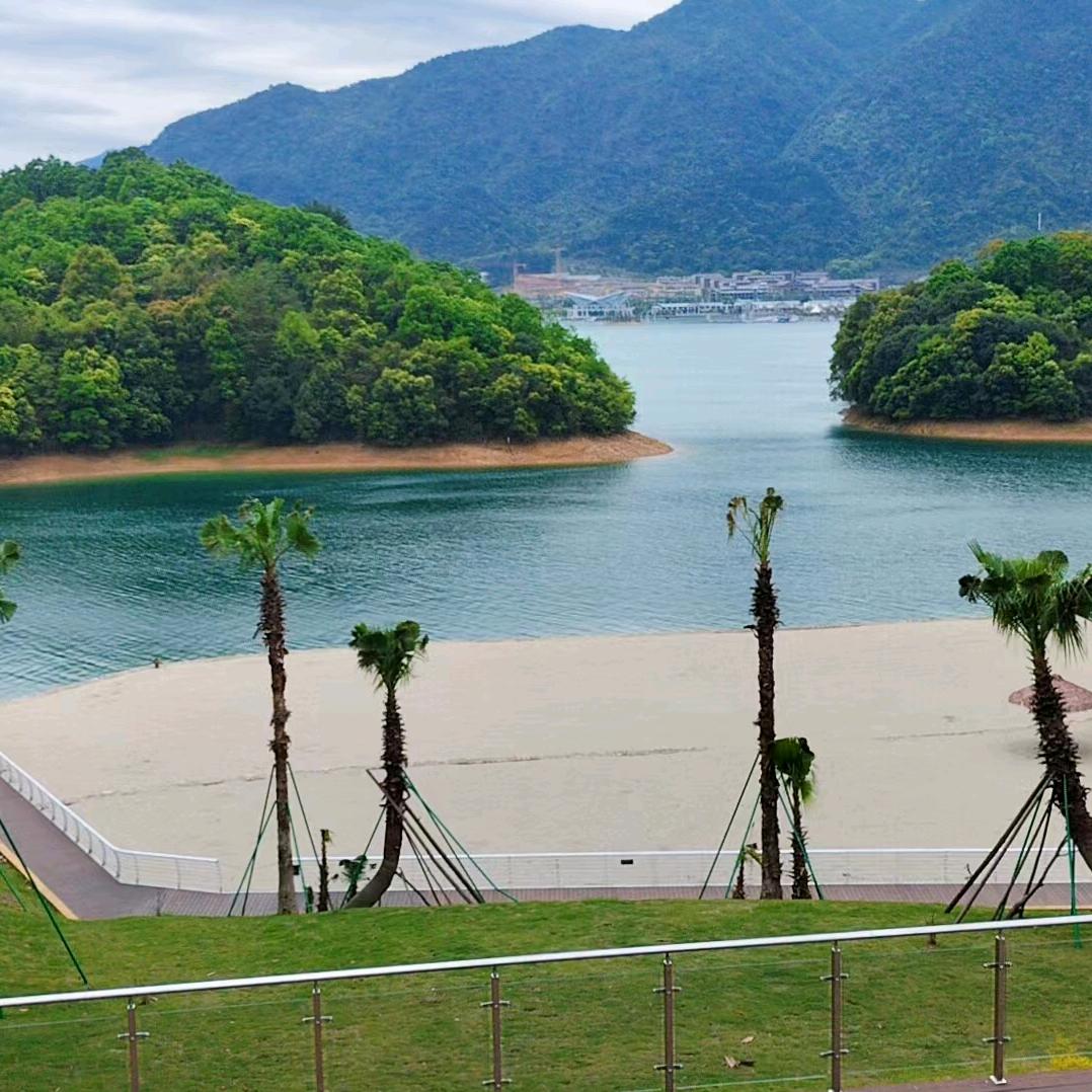 湖北魔方向直播号