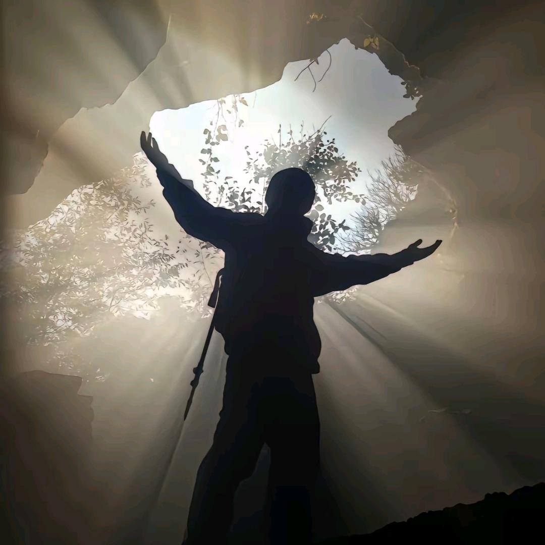 一本正经胡说八道