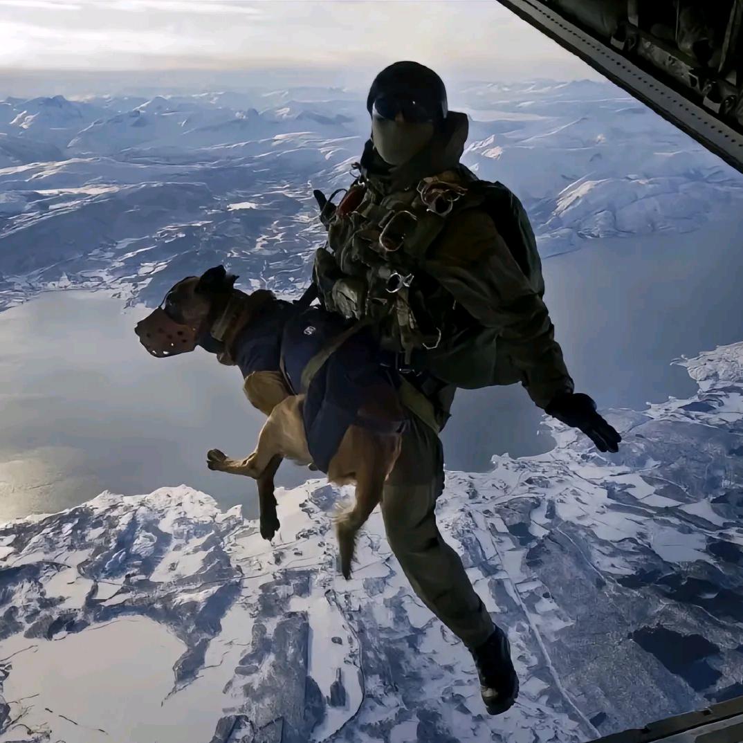 好玩个蛋🌟🌟