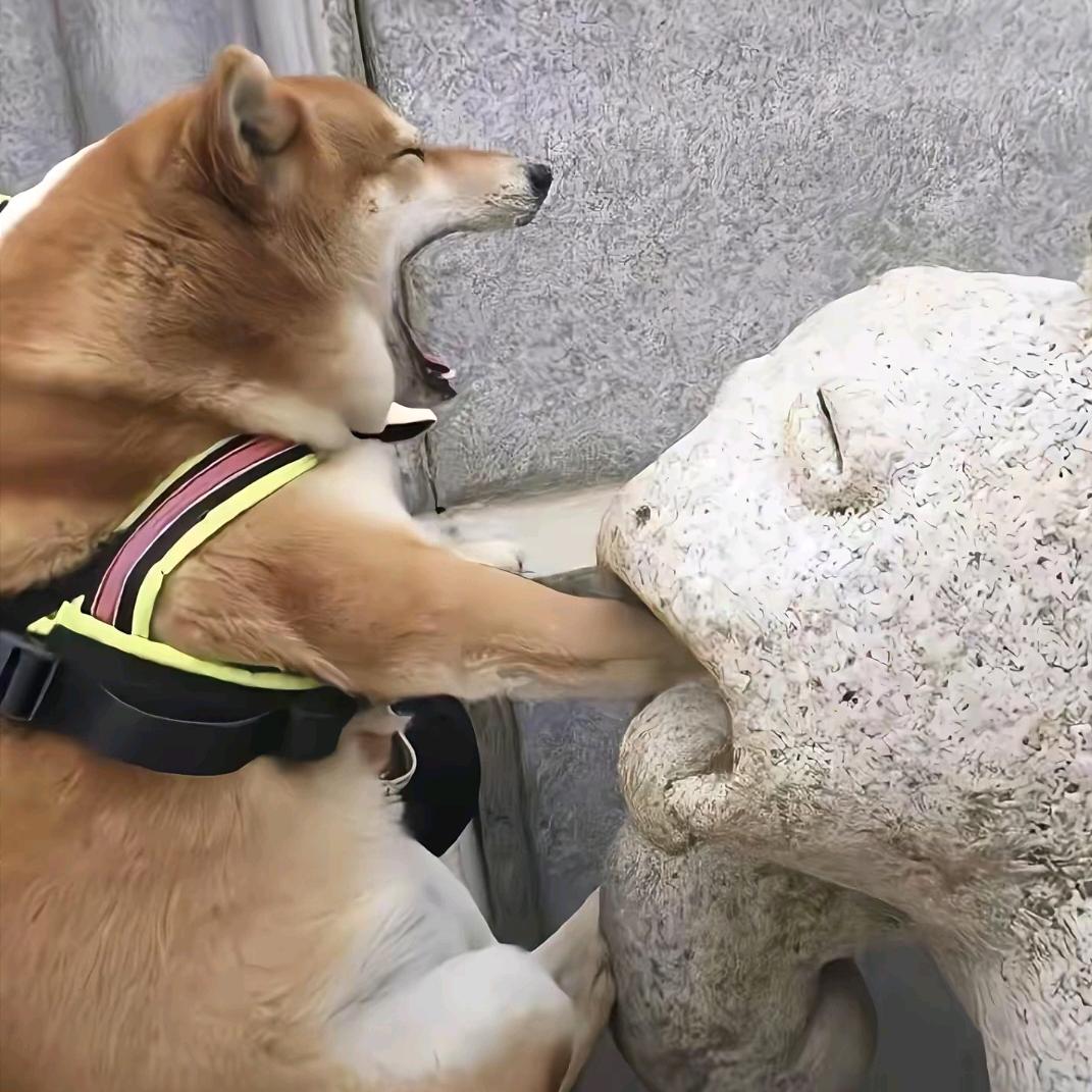 有柴