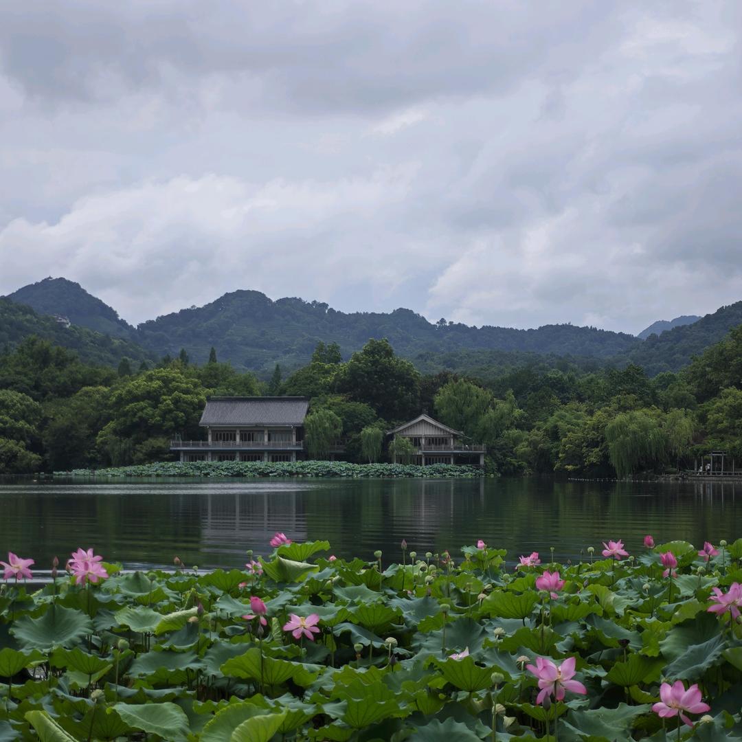 蜜蜂心闻