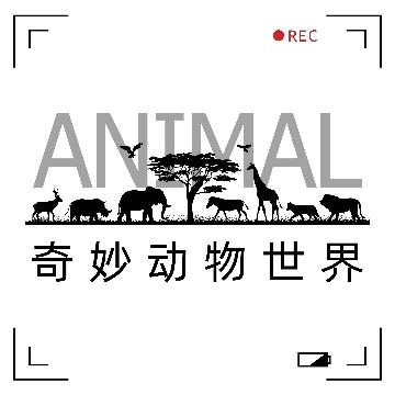 踏趣荒野