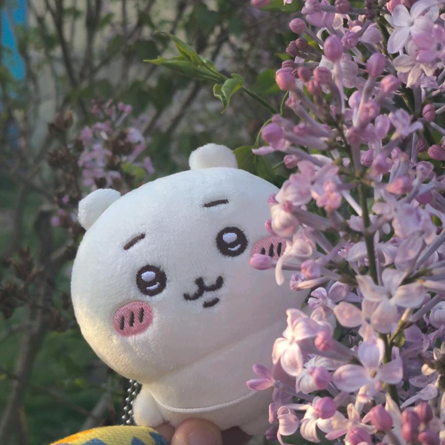 仿生塔会看到电子飞鸟吗