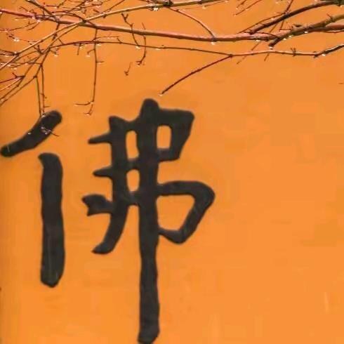 有钱当老大！没钱难过河