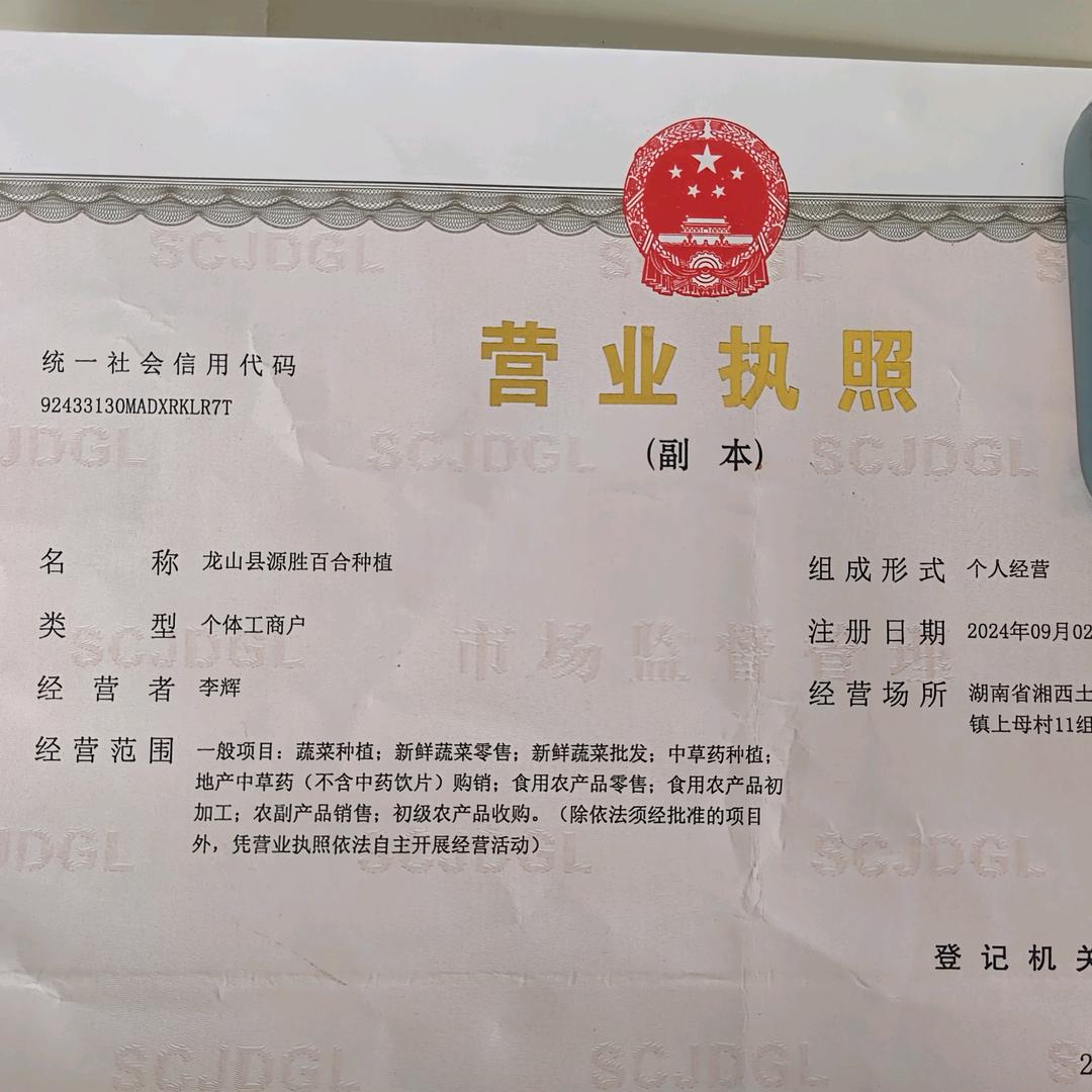 龙山县，源胜百合种植