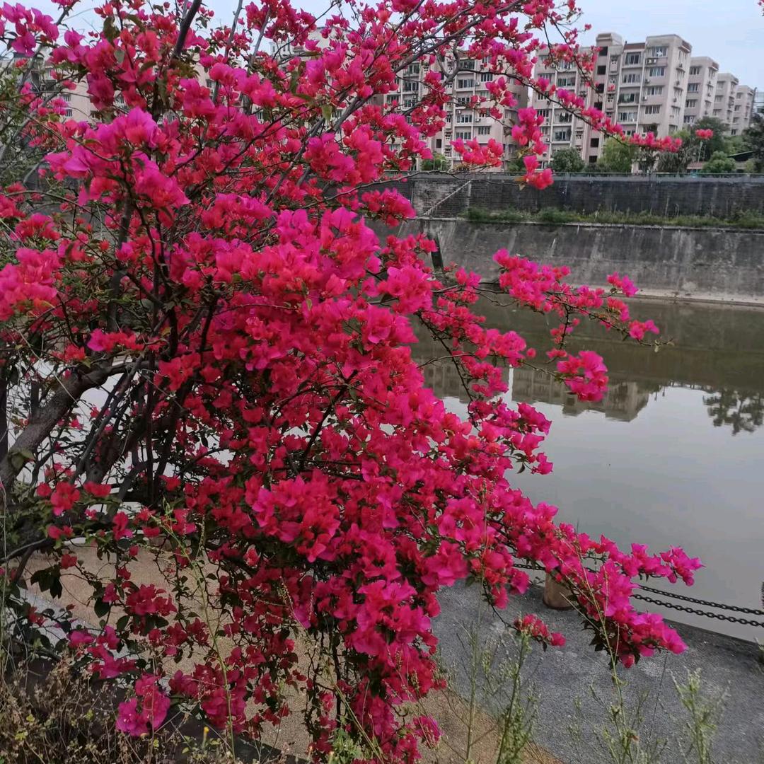 阳光