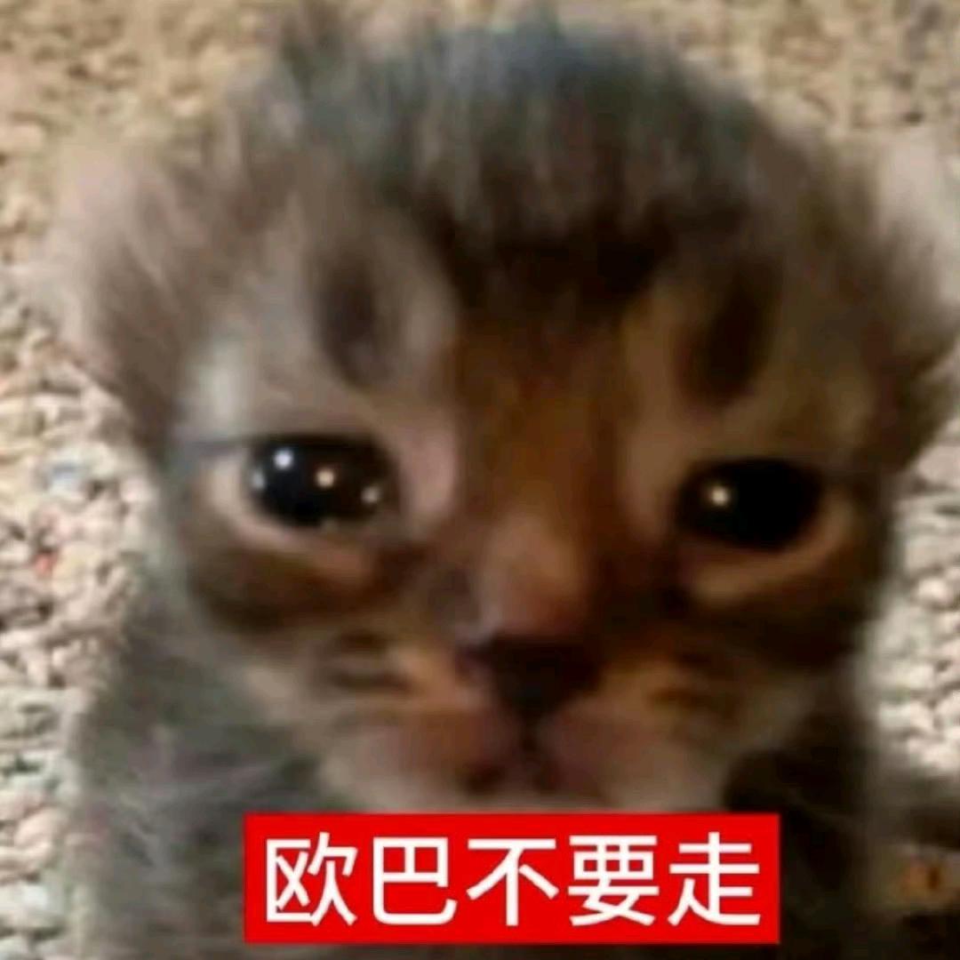 青鱼