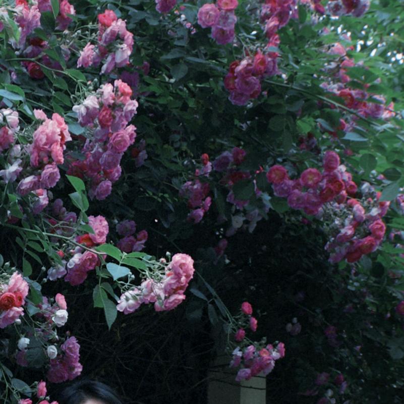 淋三花