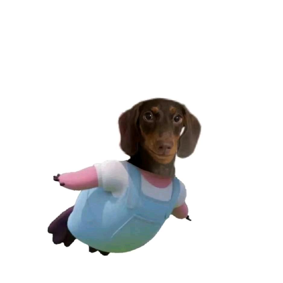 邓凳凳