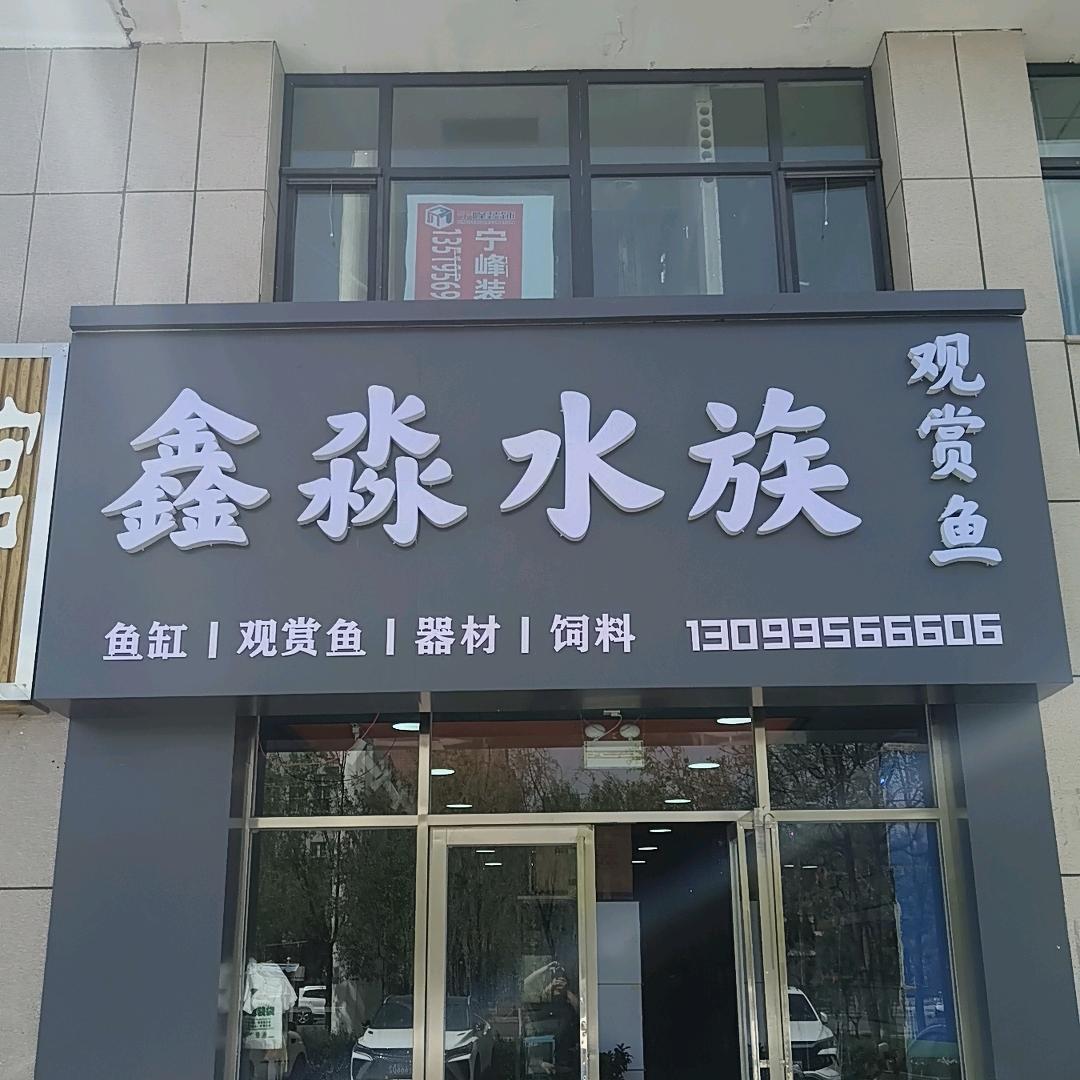 鑫淼水族观赏鱼