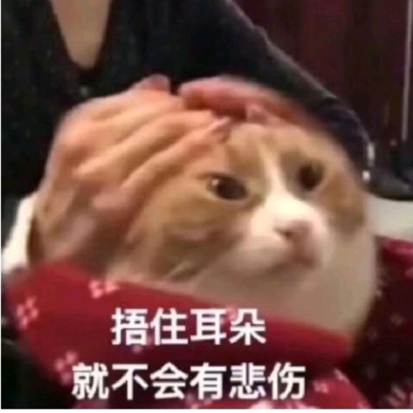 Yu