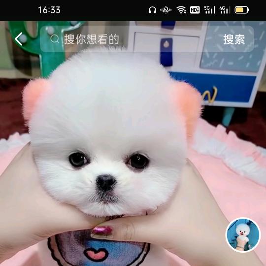 随缘