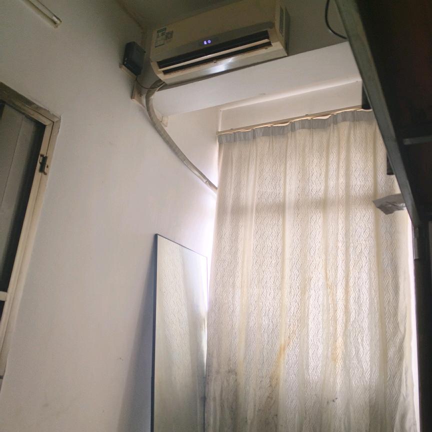 红薯