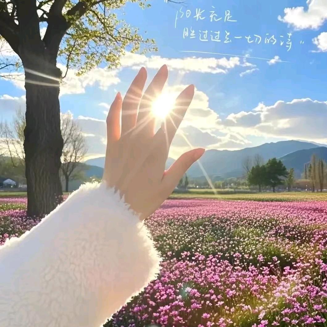 星悦