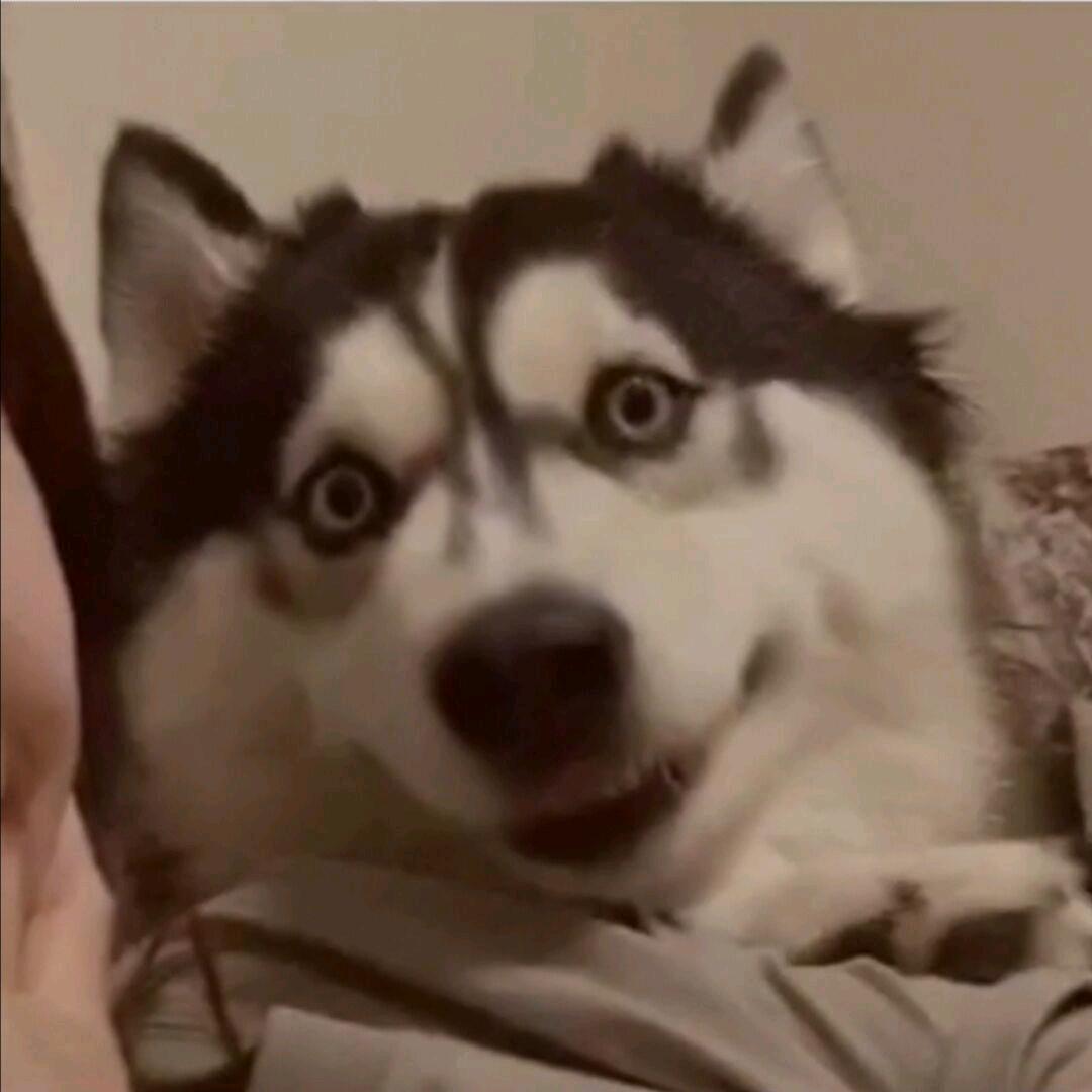哇哇